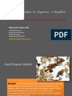 Mohamed K Zobaa - Palynofacies Analysis For Beginners