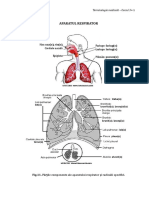 Terminologie Medicala