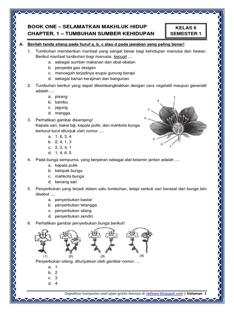 Soal Ipa Kls 6 Keseimbangan Ekosistem