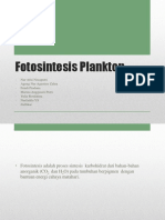 Fotosintesis Plankton