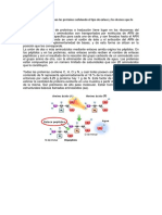 TA-quimica-organica-Nuno-Garcia-Esquivel.docx