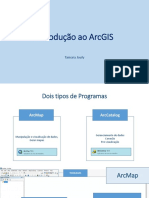 Introdução Ao ArcGIS_tamara