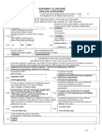 SD_-_Model_IS_Engleza_2011.doc