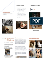 Rescue Animals Brochure