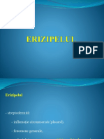 Erizipelul