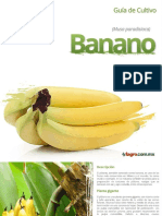 Guía de Cultivo Del Banano - Fagro