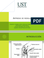 apsgonartrosisdefinitivo-110928202136-phpapp01 (1).pptx
