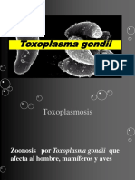 4-9toxoplasmosis 2016i
