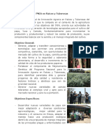 PNIA_Raices_Tuberosas.pdf