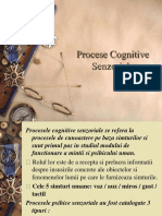 Procese Cognitive Senzoriale Senzatii Perceptii