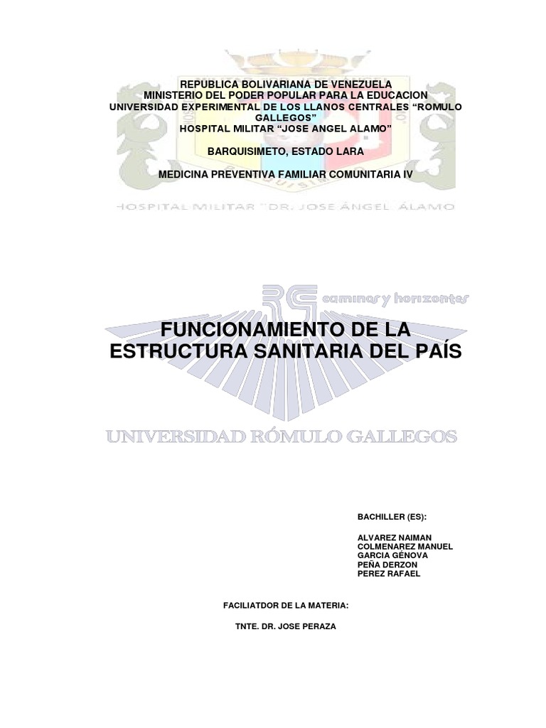 Estructura del Sistema de Salud en Venezuela | PDF | Hospital | Salud ...