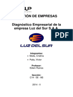 Diagnostico Empresarial Luz Del Sur