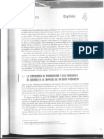 Organizacion_Industrial__Teoria_y_Practica_Cap_4_293591.pdf