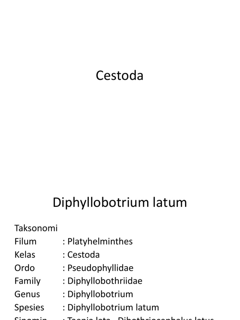ncrengtura NEMATHELMINTHES - Platyhelminthes kelas cestoda - Platyhelminthes kelas monogenea