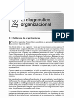 El Diagnóstico Organizacional