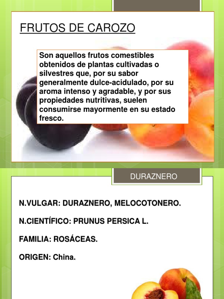 Frutos de Carozo: Variedades y Cultivo | PDF | melocotón | Plantas ...