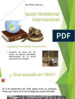 Legislación Ambiental Internacional