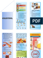 Leaflet Kolestrol