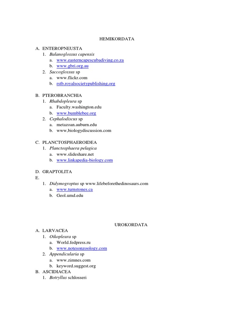 Oret Oret | PDF