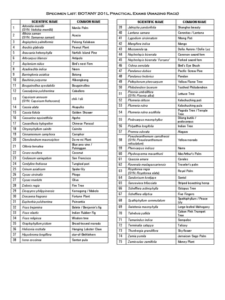 Botany 201L Practical Exam Specimens | PDF