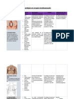 Abordajes Cirugia Cardiovascular