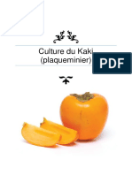 Culture Du Kaki