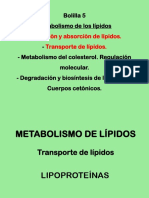 Clase Metab. de Lípidos II-2011 (1)