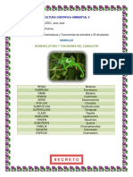 Nomenclaturas y taxonomías de animales y plantas