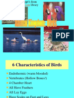 Birds Notes 1