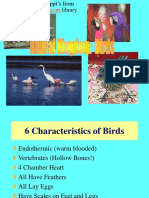 Birdsnotes1.ppt