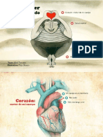 ser-equilibrado-final.pdf