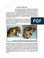 Depósitos pegmatíticos: formas, texturas y clasificación