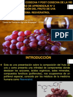 Presentación Resveratrol.pptx