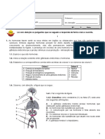 CN Sistema Nervoso e Circulatório 9 Ano