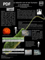 Ejemplo Cartel, Semana de La Bacteria