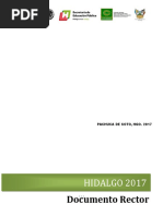 Documento Rector Hidalgo 2017-1 PDF