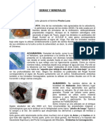 GEMAS Y MINERALES.pdf