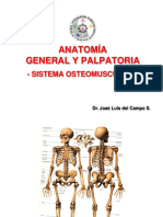 Anatomia General y Palpatoria