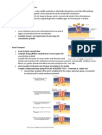 Carrier-Mediated Transport Mechanisms