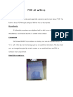 pcr lab write up