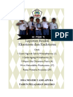 Laporan Pengamatan Reaksi Endoterm Dan E PDF