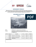 1. PT 03 - Resumen Ejecutivo DE MIRADORES Rev. C 3