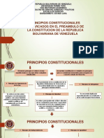 Mapa Conceptual Principios Constitucionales