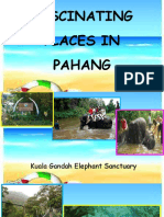 Fascinating Places in Pahang