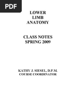 Download Lower Limb Anatomy Class Notes by Salina Amir SN36098316 doc pdf