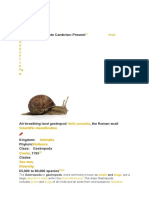 Gastropoda: Gastropoda Temporal Range: Late Cambrian-Present