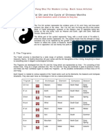 Bigua Yinyang PDF