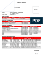 Curriculum Vitae Herli