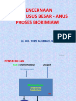 Materi Kuliah D3 Metabolisme Lipid Absorpsi Lipid