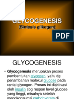 7_ karbo Glikogenesis